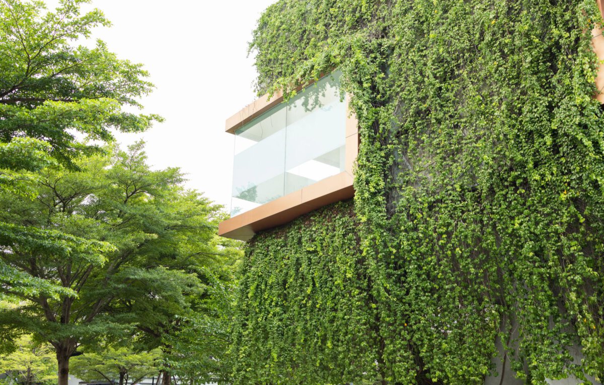 Sustainability